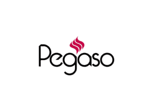 logo-brand-pegaso-color